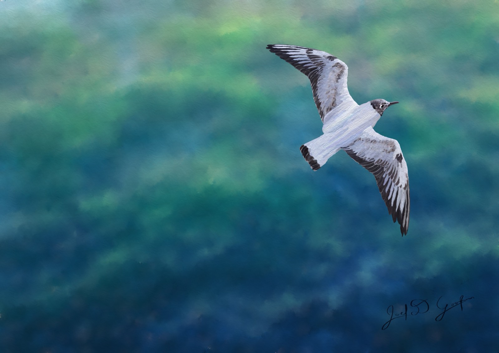 A gull banking over deep green-blue water, wings full: the freedom of heading home