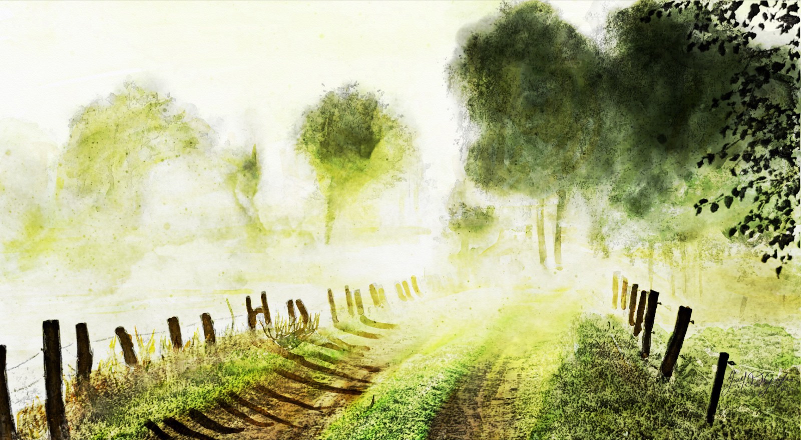 A quiet fenced country road dissolving into morning mist. The way ahead is real but not yet visible